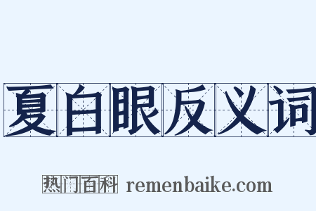 夏白眼反义词是什么意思的图片